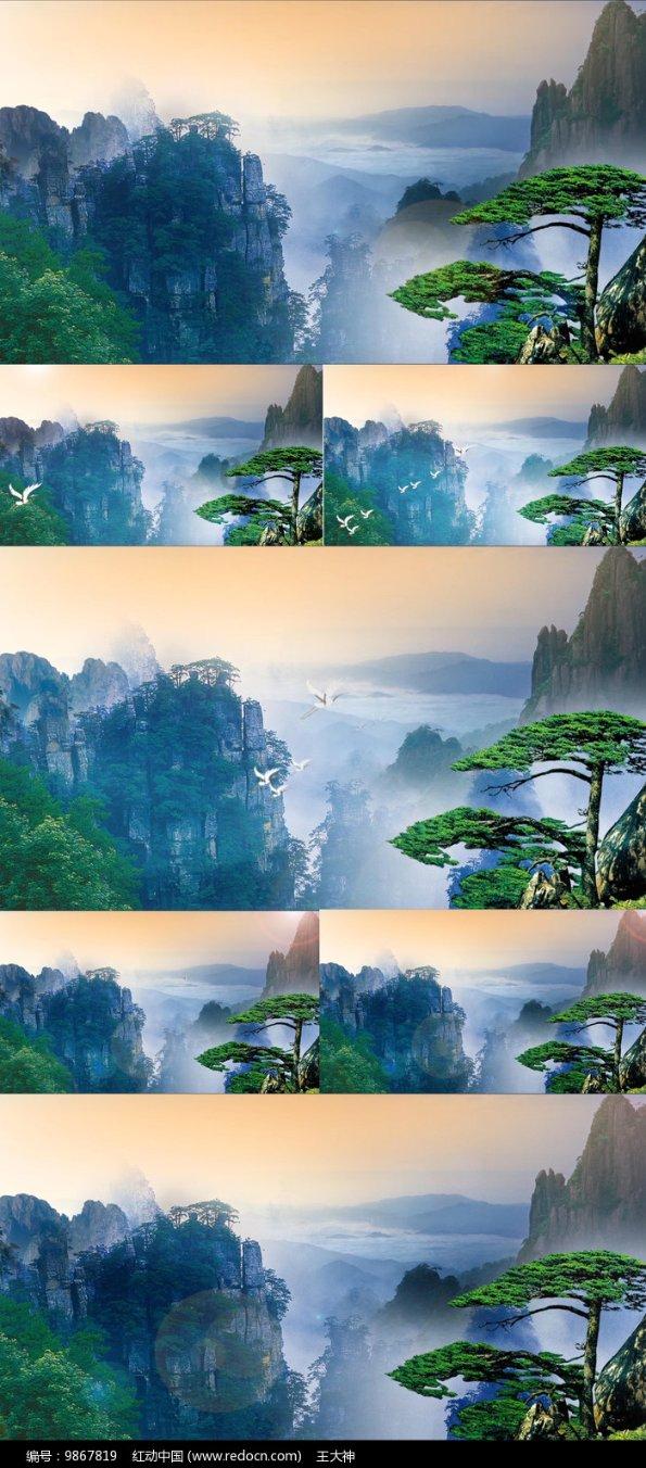 浪漫衣裙